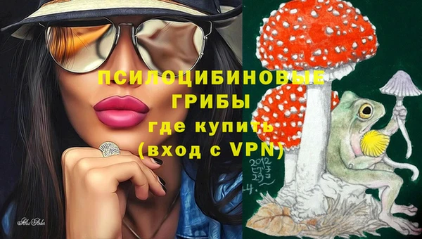 ECSTASY Арсеньев