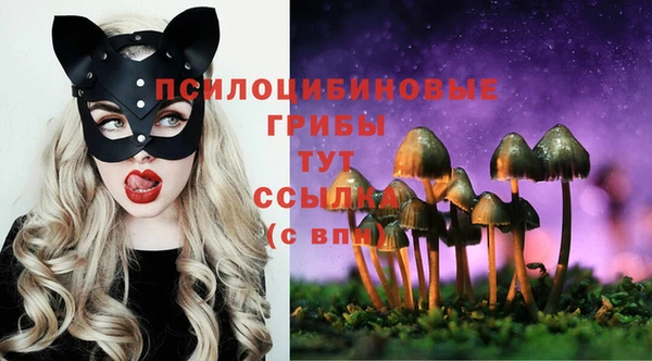 скорость Аркадак