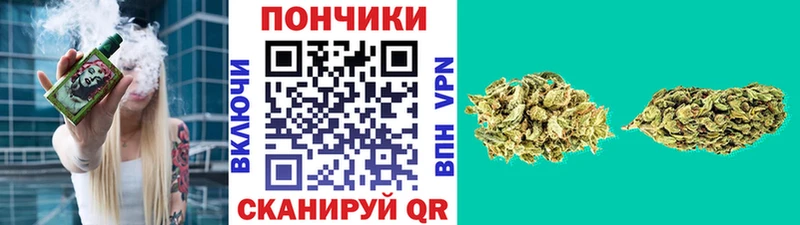 где можно купить   Пыть-Ях  Каннабис Amnesia 